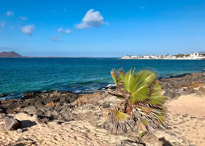 بيت للعطل Casa Grisu